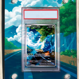 arte expandida tcg Heracross (194/193) moldura acrilica exposicao carta Pokemon graduada