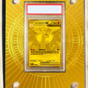 arte expandida tcg Mega Charizard X ex (130/094) moldura acrilica exposicao carta Pokemon Graduada