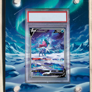 arte expandida tcg Suicune_V (GG38/GG70) moldura acrilica exposicao carta Pokemon graduada