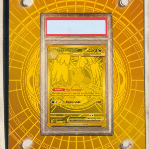 arte expandida tcg Mega Dragonite ex (295/217) moldura acrilica exposicao carta Pokemon graduada