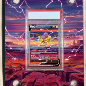 arte expandida tcg Raikou V (41/70) moldura acrilica exposicao carta Pokemon graduada