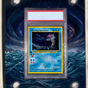 arte expandida tcg Shining Gyarados (065/66) moldura acrilica exposicao carta Pokemon graduada