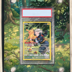 arte expandida tcg Pikachu (TG05/TG30) moldura acrilica exposicao carta Pokemon graduada